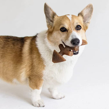 Benebone Fishbone Durable Chew Toy For Dogs Aggressive Chewer